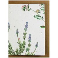 Growing Paper Lavender Greeting Card